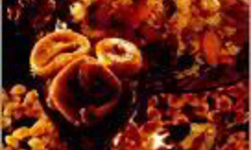 Рецепт плова фруктового