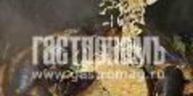 плов с мидиями