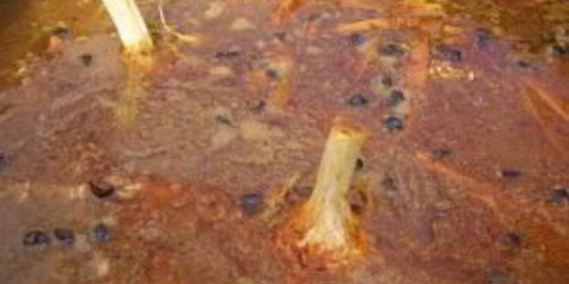 плов татарский