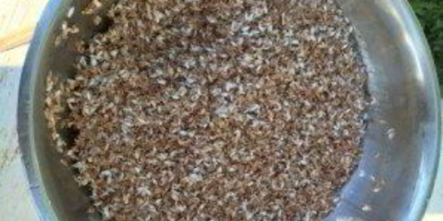 плов узбекский классический