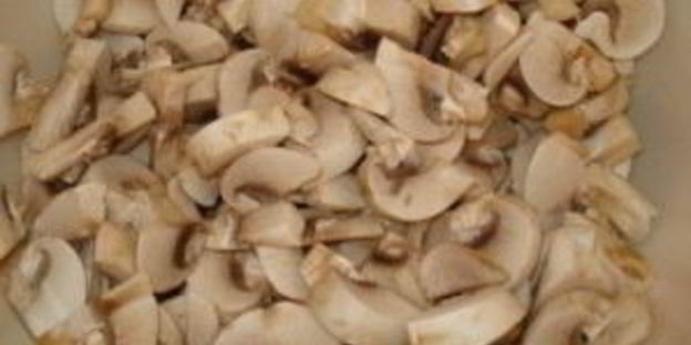 фрикасе с грибами