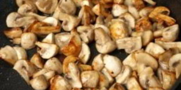 фрикасе с грибами