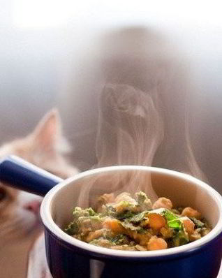 Рагу из чечевицы и белых грибов