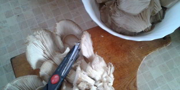 рагу из горшочка