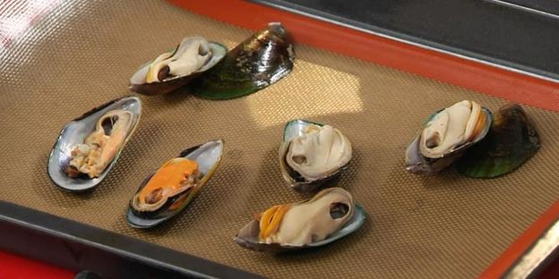 рагу из мидий с пряными томатами и мидии, запеченные под сыром моцарелла