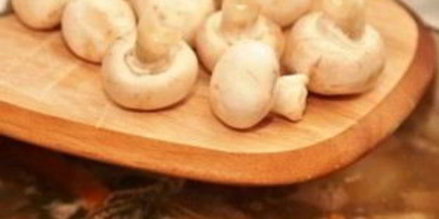 рагу из телятины