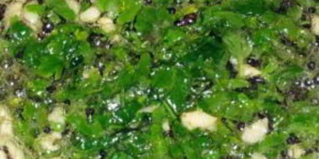 ризотто с красной рыбой