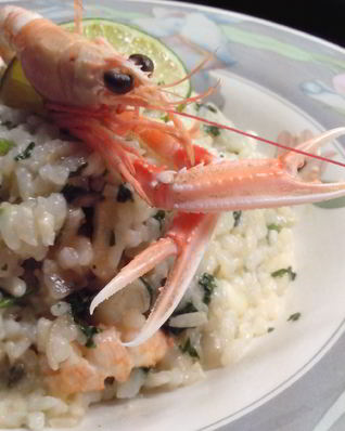Ризотто с морскими гадами