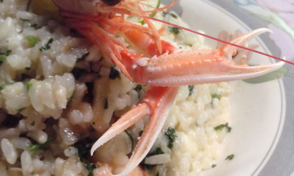 Рецепт ризотто с морскими гадами