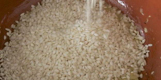 ризотто с пряными травами