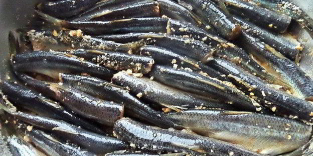 балтийская салака под сметаной