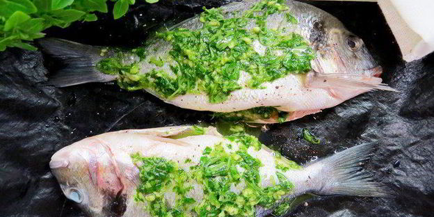 дорада на оливковом масле с базиликом, лаймом и чесноком