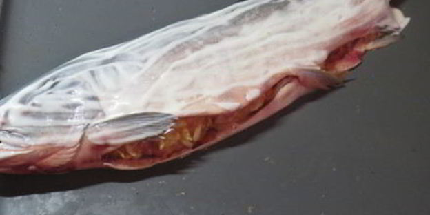 фаршированная горбуша