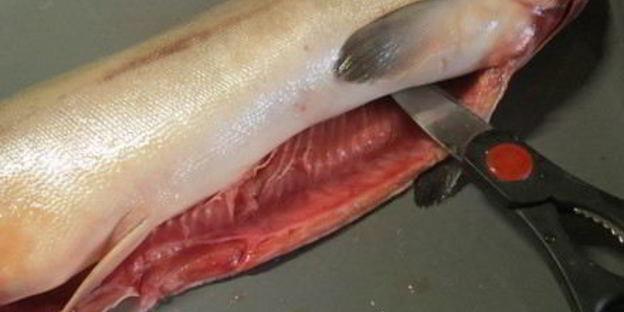 фаршированная горбуша