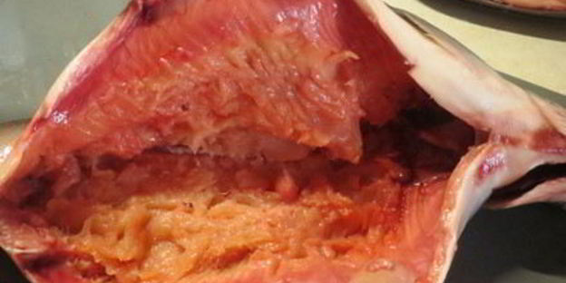 фаршированная горбуша