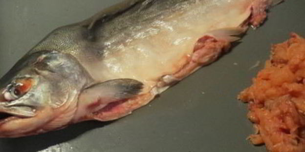 фаршированная горбуша