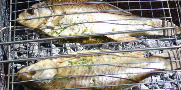 карась на гриле