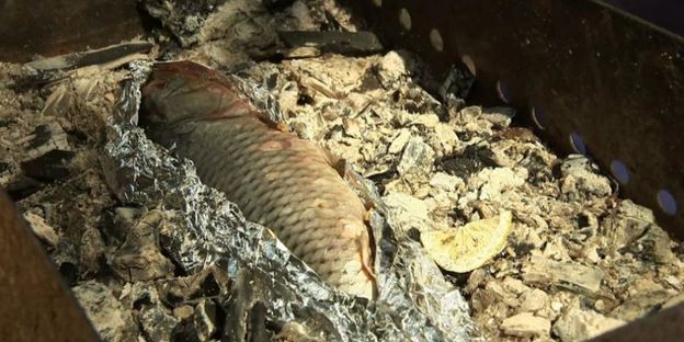 карп в углях с гречневой кашей