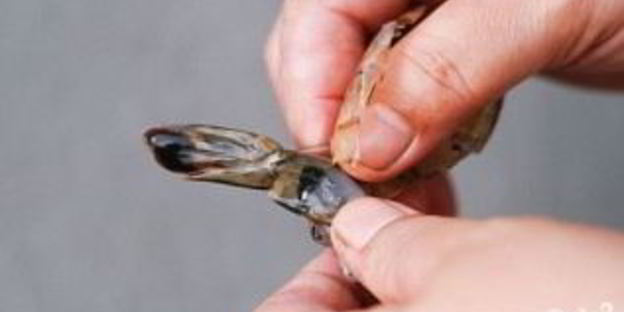 креветки на гриле