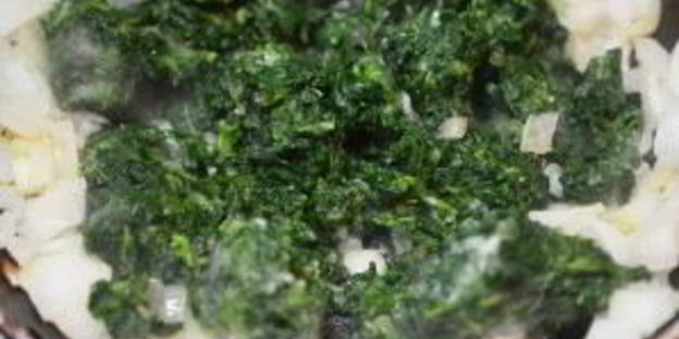 рыба в духовке со шпинатом и помидорами