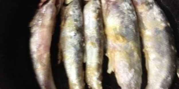 жареная корюшка