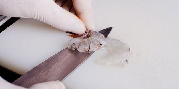 шафрановая лапша с креветками