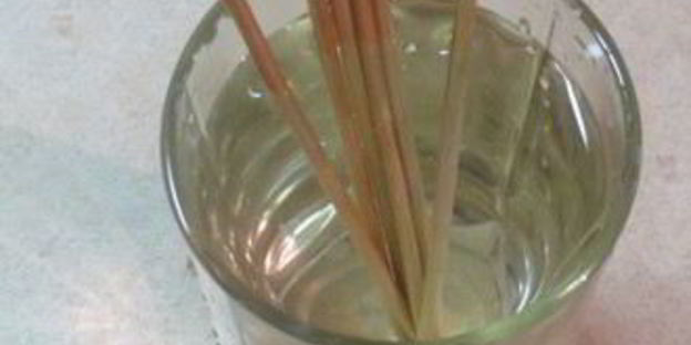 рыбные шашлычки с овощами