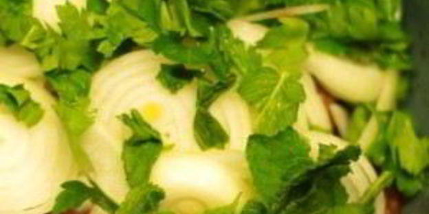 шашлык из баранины с уксусом