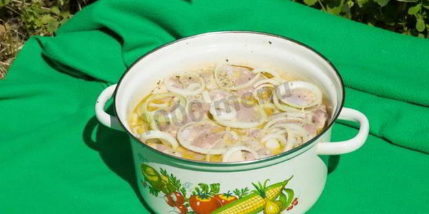 шашлык из курицы на пиве с молоком