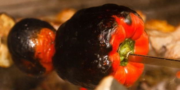 шашлык из курицы с овощами