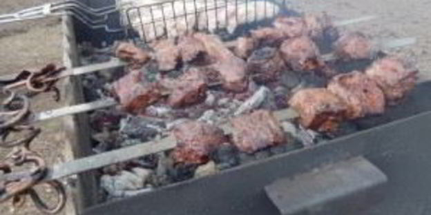 шашлык из оленины