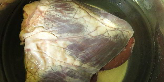 шашлык из сердца