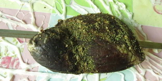 шашлык из сердца