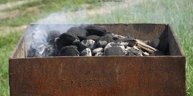 шашлык из свинины в маринаде из киви