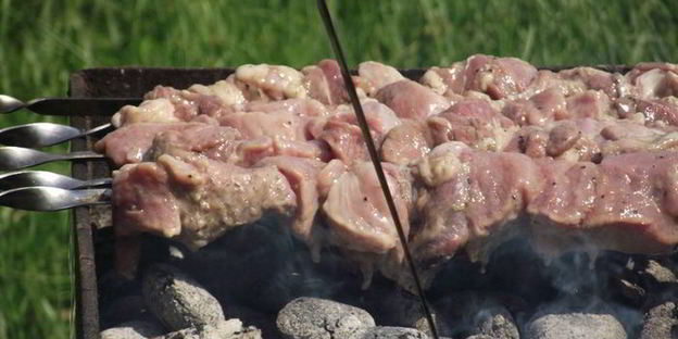 шашлык из свинины в маринаде из киви