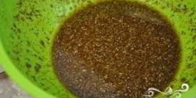 шашлык по-царски