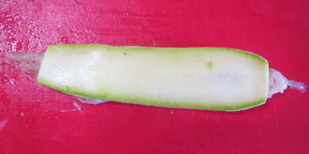 сочные куриные шашлычки