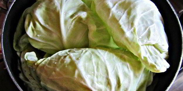 пикантные шницели из молодой капусты