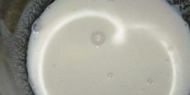 шницель нельсон