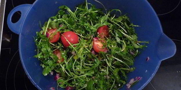 шницель в пряной горчичной панировке с салатом