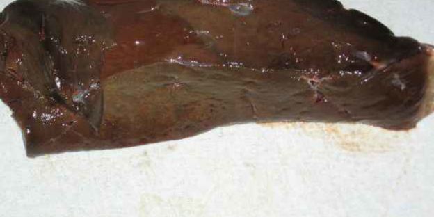 шницели куриные и печень с салатом