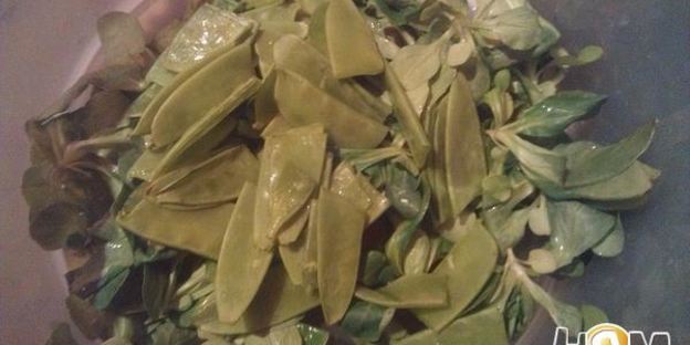 стейк из белой рыбы с пюре и весенним салатом