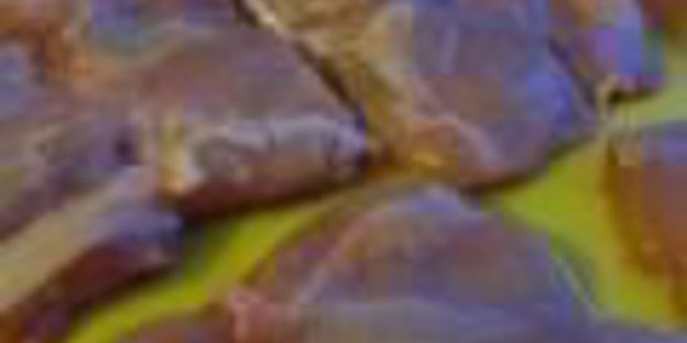 стейк паргит в соево-медовом соусе