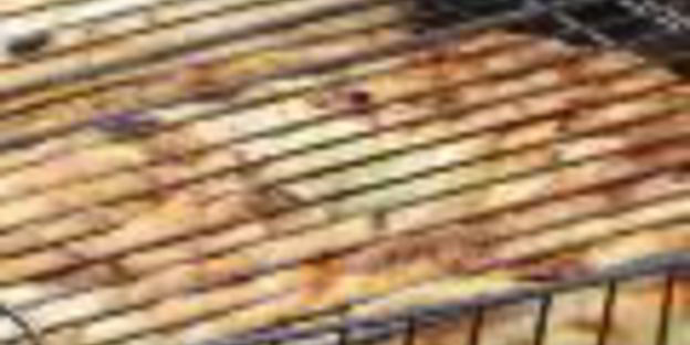 стейк паргит в соево-медовом соусе