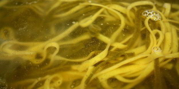 паста с куриными тефтелями под тыквенным соусом