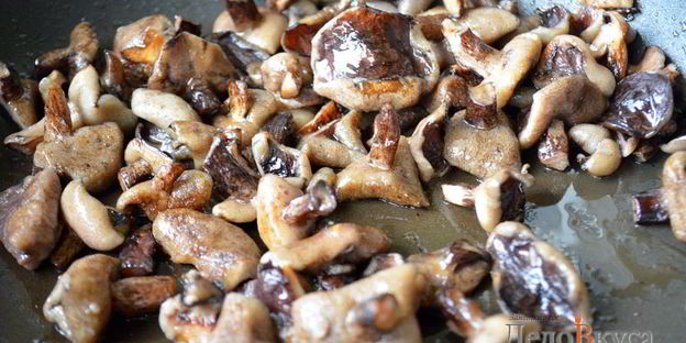 жаркое по-домашнему с мясом и грибами