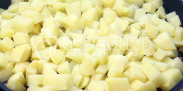 жаркое с грибами и сметаной