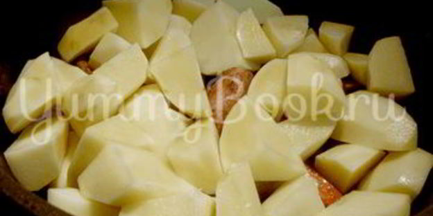 жаркое со свининой