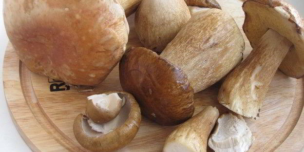 жаркое в горшочках с белыми грибами и свининой