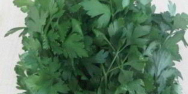 жаркое в горшочках с мясом